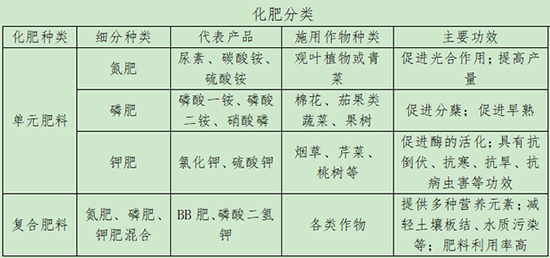20年增長1.jpg