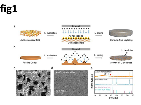 1640311557945502a8fc.jpg 圖1.jpg