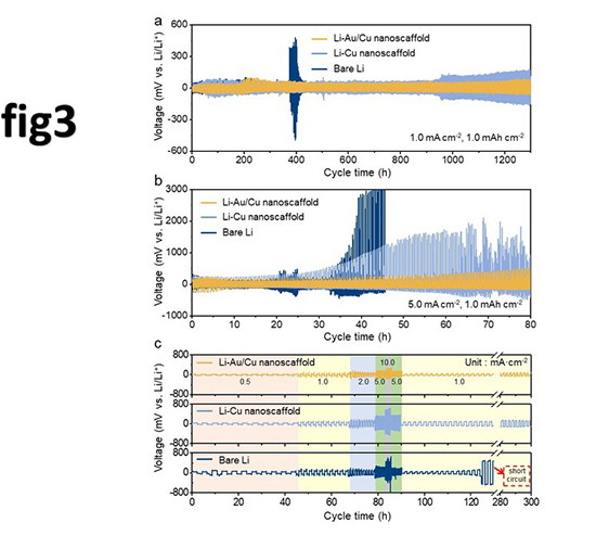1640311617375658csP3.jpg 圖3.jpg