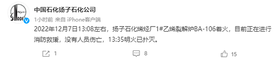 揚子石化1.jpg