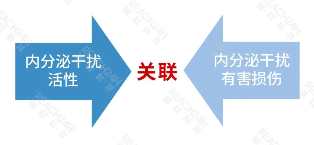 內分泌干擾