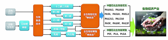 精細化工圖1.jpg