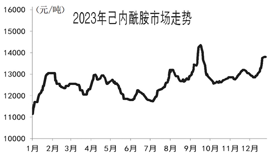 己內(nèi)酰胺1.jpg