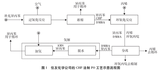 紅寶麗3.jpg