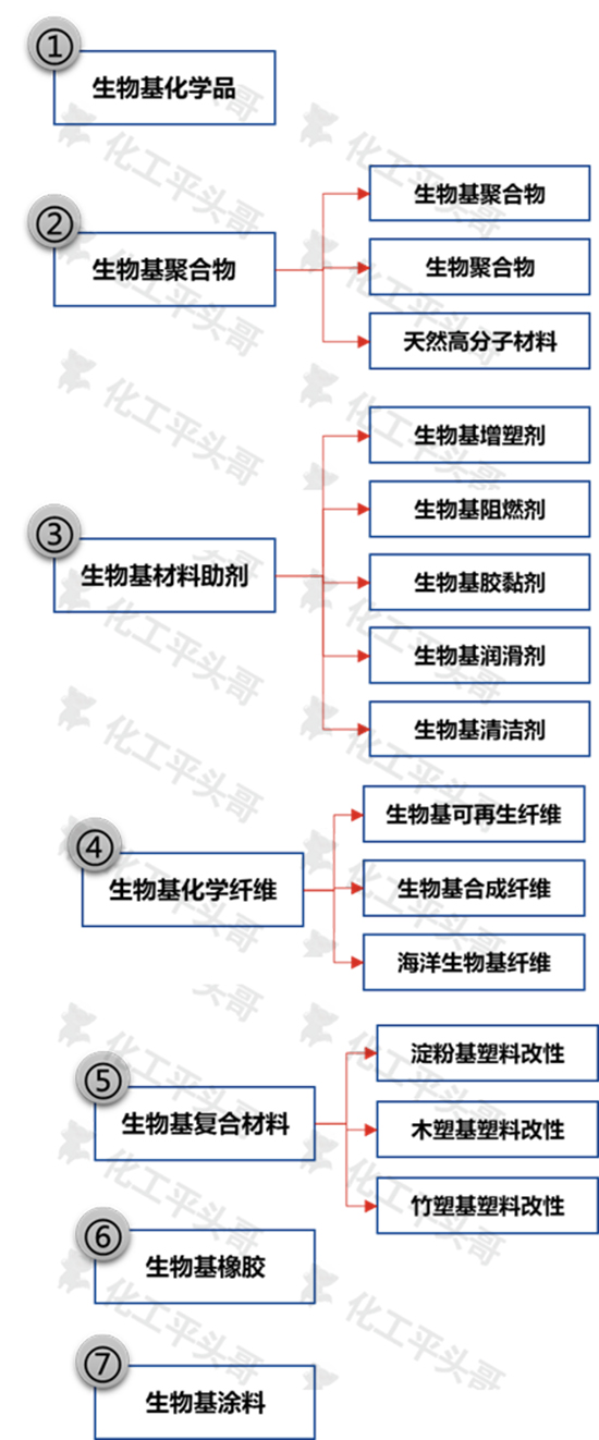 生物基圖1.jpg