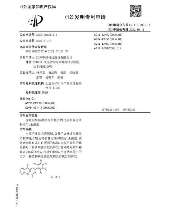 中旗1.jpg