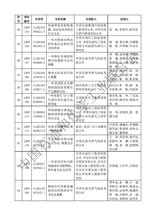 石油和化工行業專利獎7.jpg