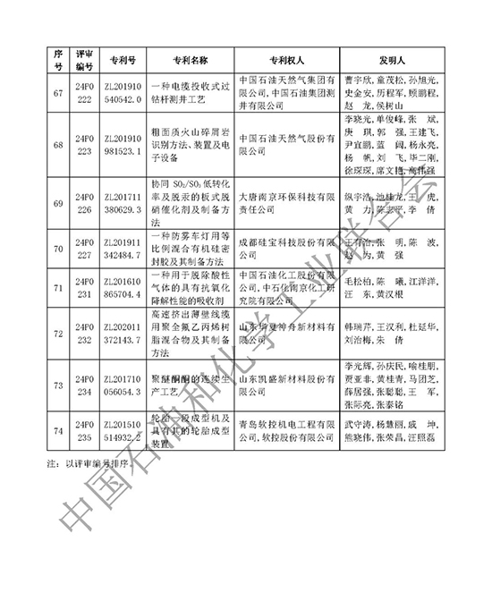 石油和化工行業專利獎9.jpg