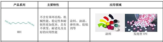 全球手套3.jpg